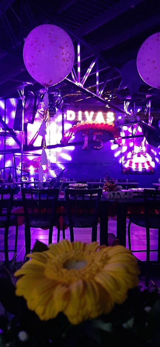 Divas Discoteca – foto 3