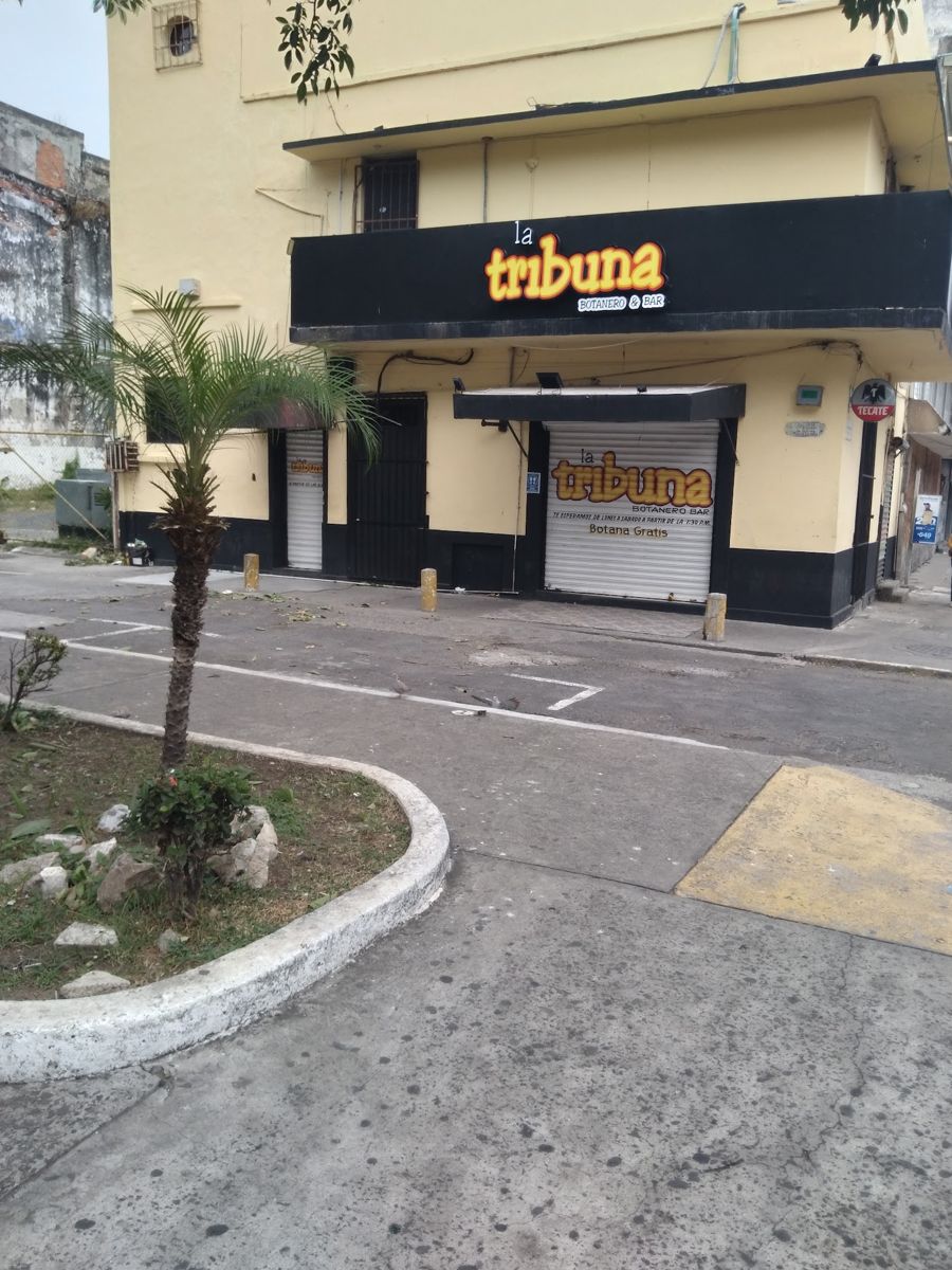 La Tribuna Arista