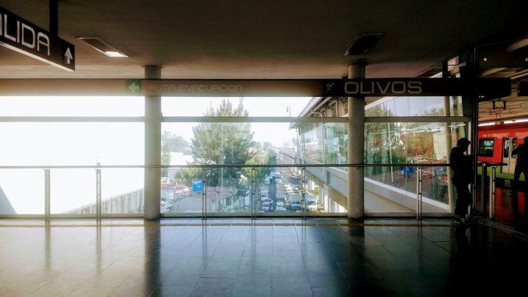 OLIVOS PLUS – foto 3